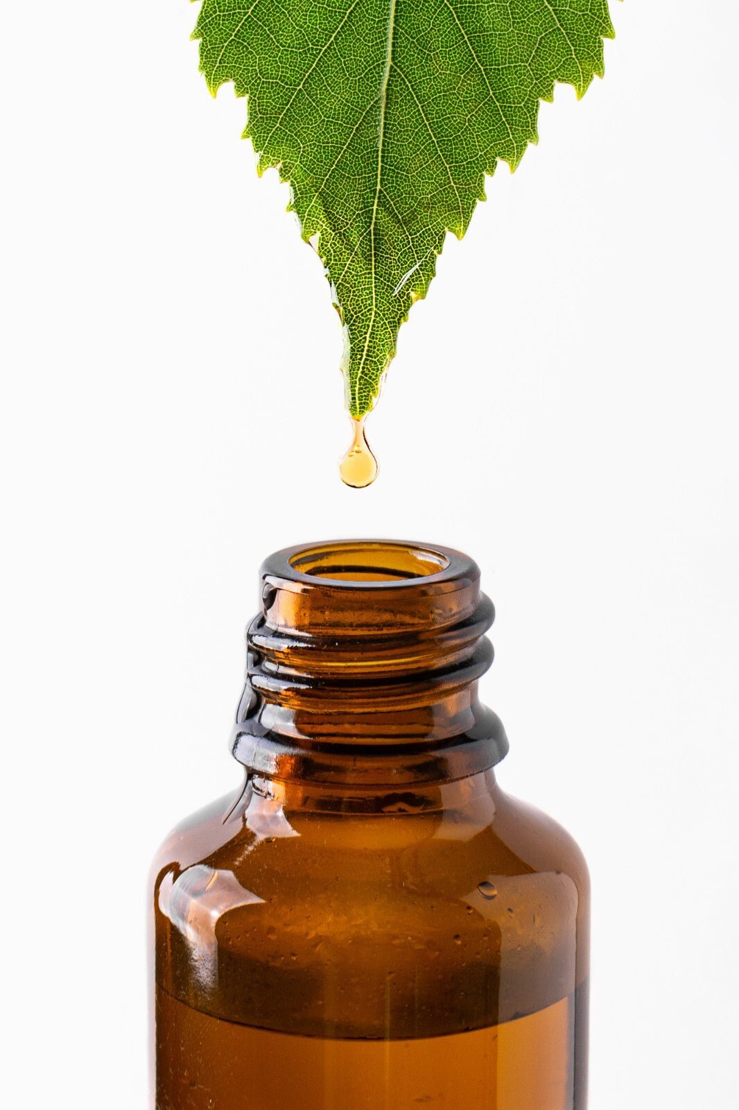 Natural Herbal Head Lice Shampoo Handmade in the UK | Gentle & Effective 250ml