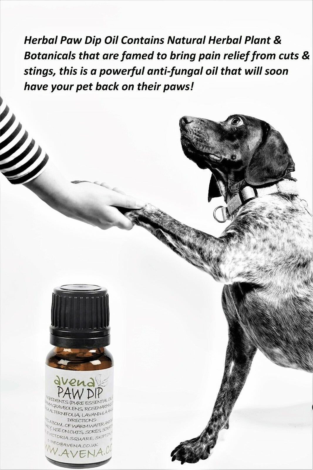 Natural Paw Dip - Essential Oil Blend for Minor Paw Problems - 10ml