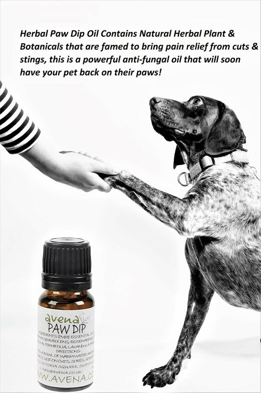 Natural Paw Dip - Essential Oil Blend for Minor Paw Problems - 10ml