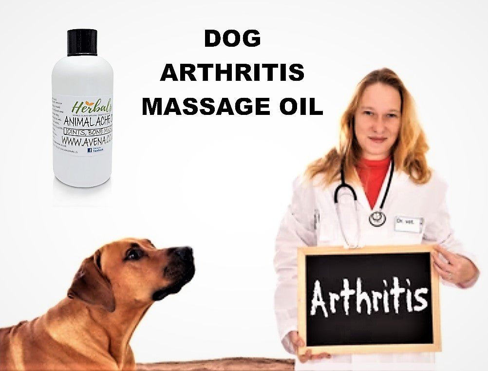 Natural Pet Pain Relief Oil for Dogs & Cats – Herbal Arthritis & Muscle Ache Re