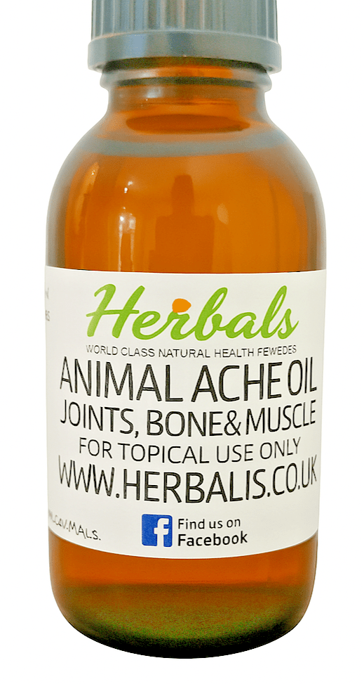Natural Pet Pain Relief Oil – Herbal Joint & Muscle Relief for Dogs & Cats