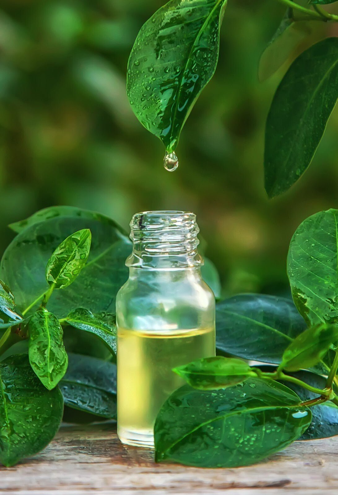 Natural Shampoo Handmade Chemical Free Lemon Geranium & Tea Tree 250ml/500ml
