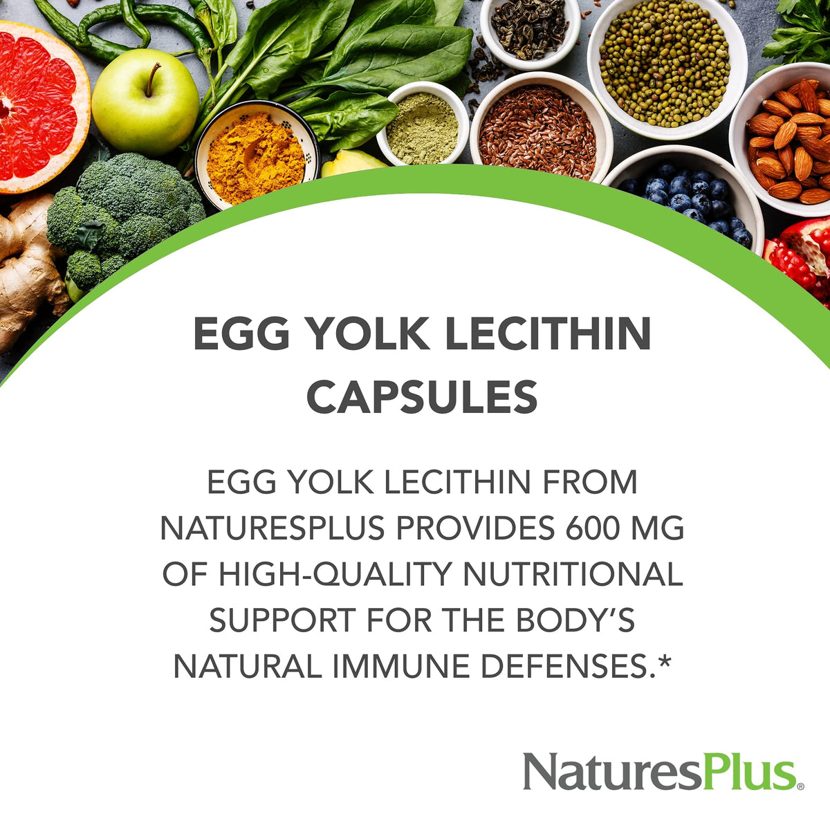 NaturesPlus Egg Yolk Lecithin 600 mg – 180 Capsules Pack of 2 – Soy Free & Gluten Free