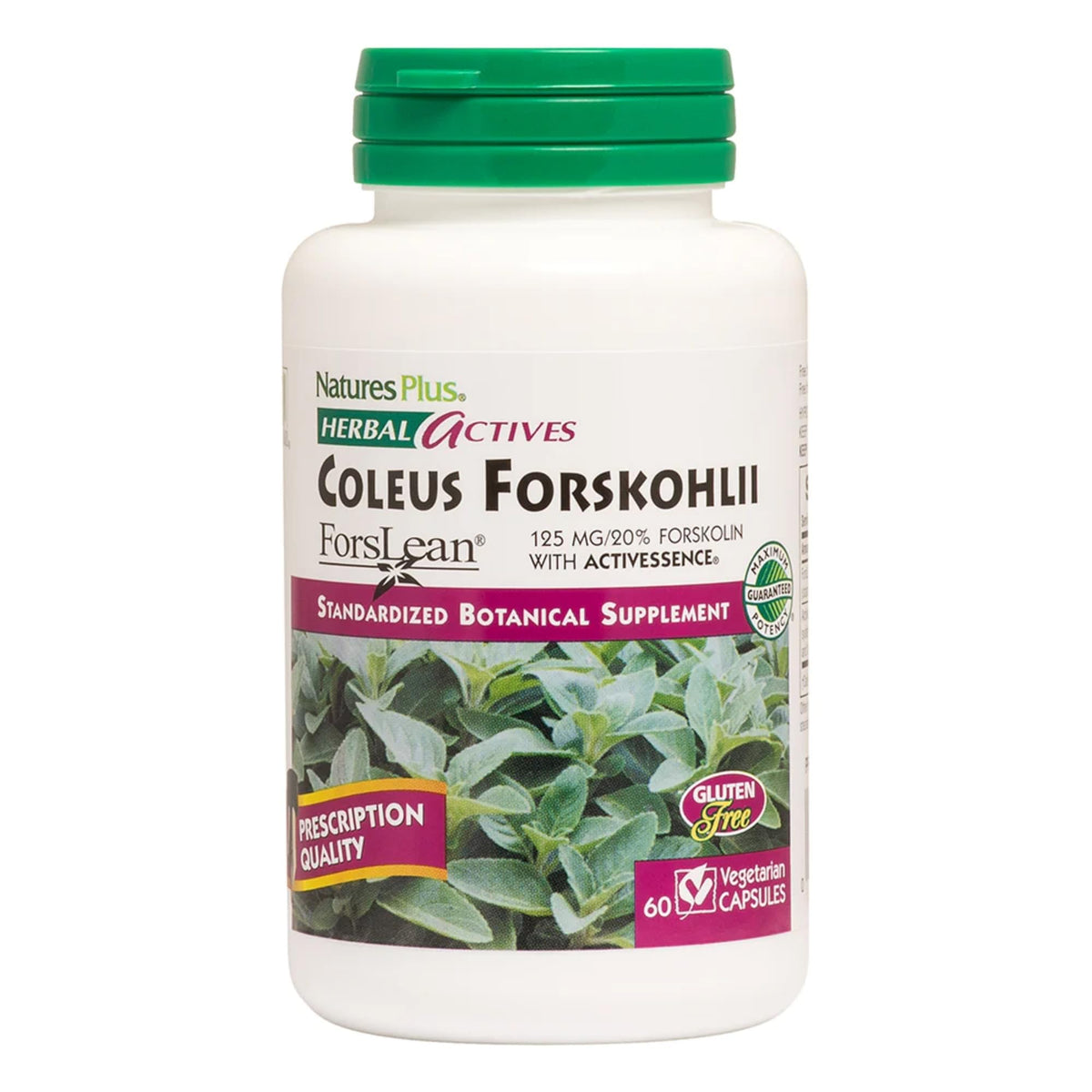 NaturesPlus Herbal Actives Coleus Forskohlii - 60 Vegetarian Capsules - Gluten Free - 60 Servings