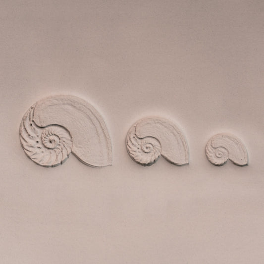 Nautilus Shell Stamp - Photo Textured - Style #1