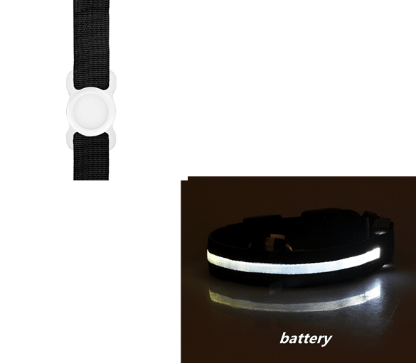 Night Safety Dog Collar Set