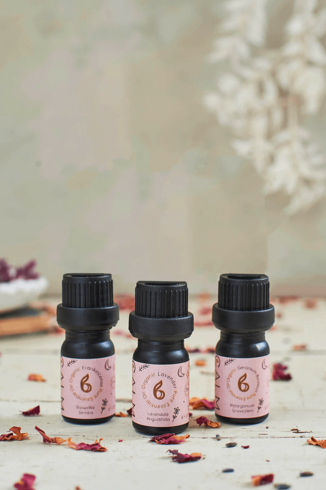 Rest Calm Essential Oil Set - Sleep & Hormone Balance