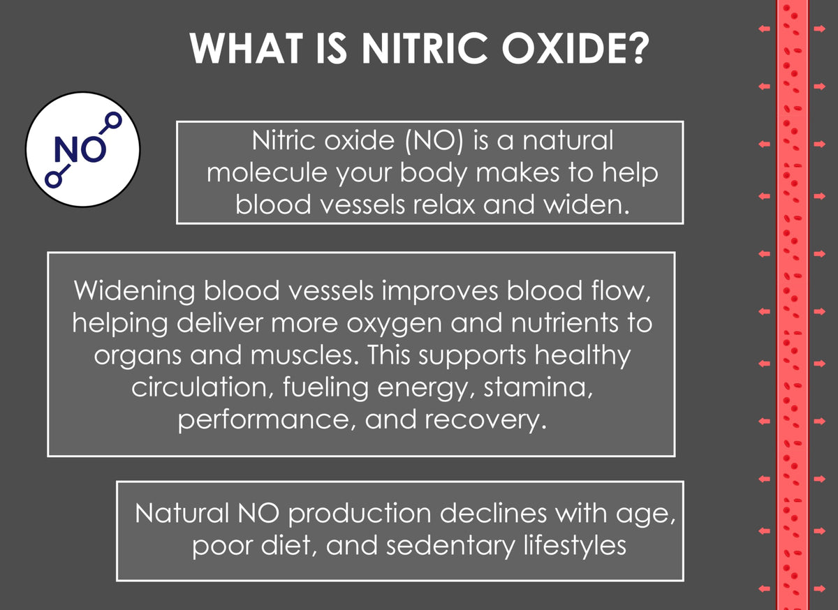 Nitric Oxide Lozenges 120 Count – Supports Blood Pressure, Circulation & Vascular Health