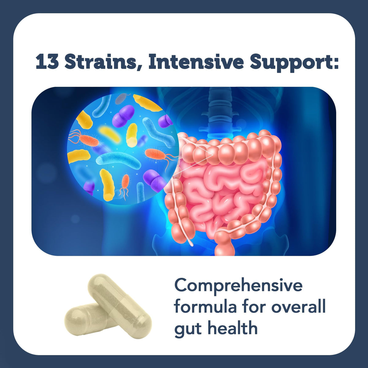 Vitamin Bounty Pro-100 Probiotic – 100B CFU, 13 Strains | Gut & Immune Support
