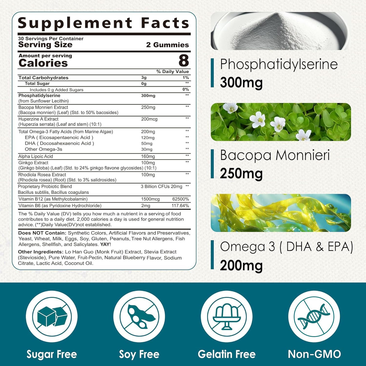 Phosphatidylserine Nootropic Gummies – Focus & Energy (60 Ct)