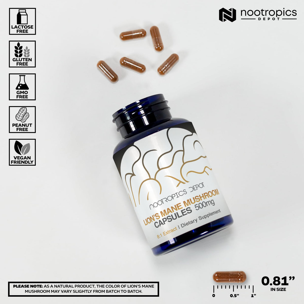 Nootropics Depot Lion's Mane Mushroom Capsules 500mg | 60 Count | 8:1 Dual Extract