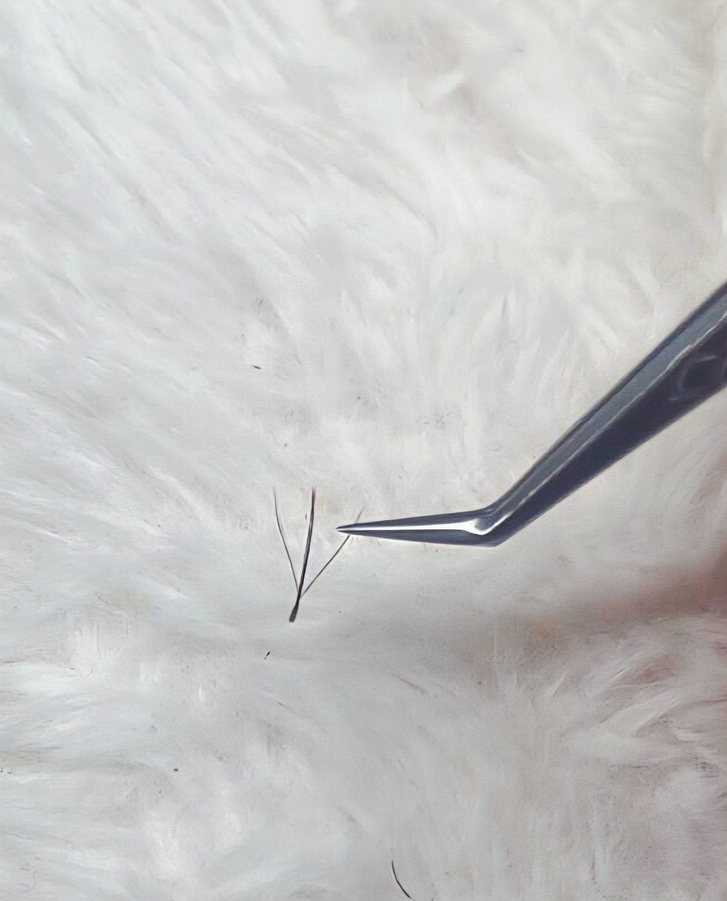 Fairy Lashes Single Length