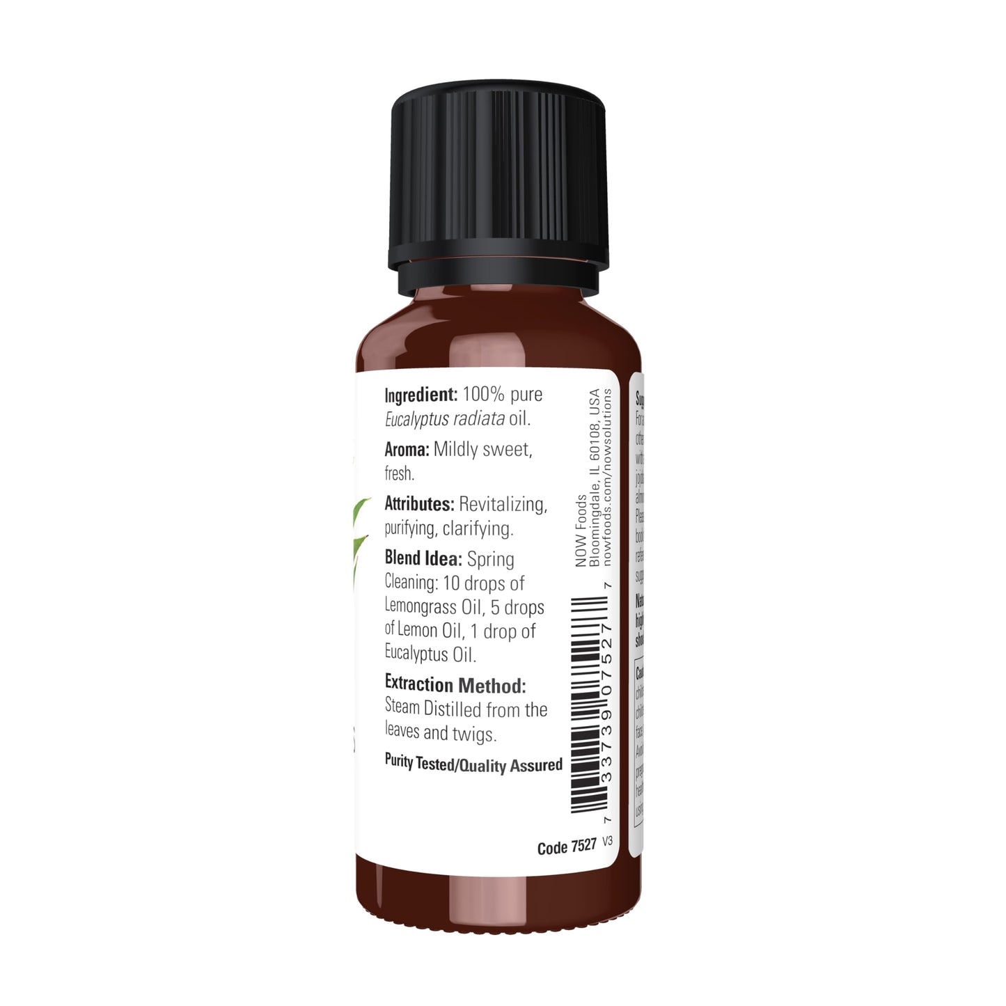 NOW Essential Oils Eucalyptus Radiata Oil - 100% Pure, Steam Distilled, 1 oz