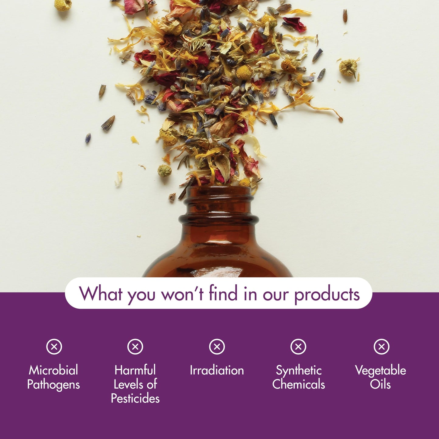 NOW Essential Oils Oil of Oregano 25% Blend in Olive Oil 1 oz