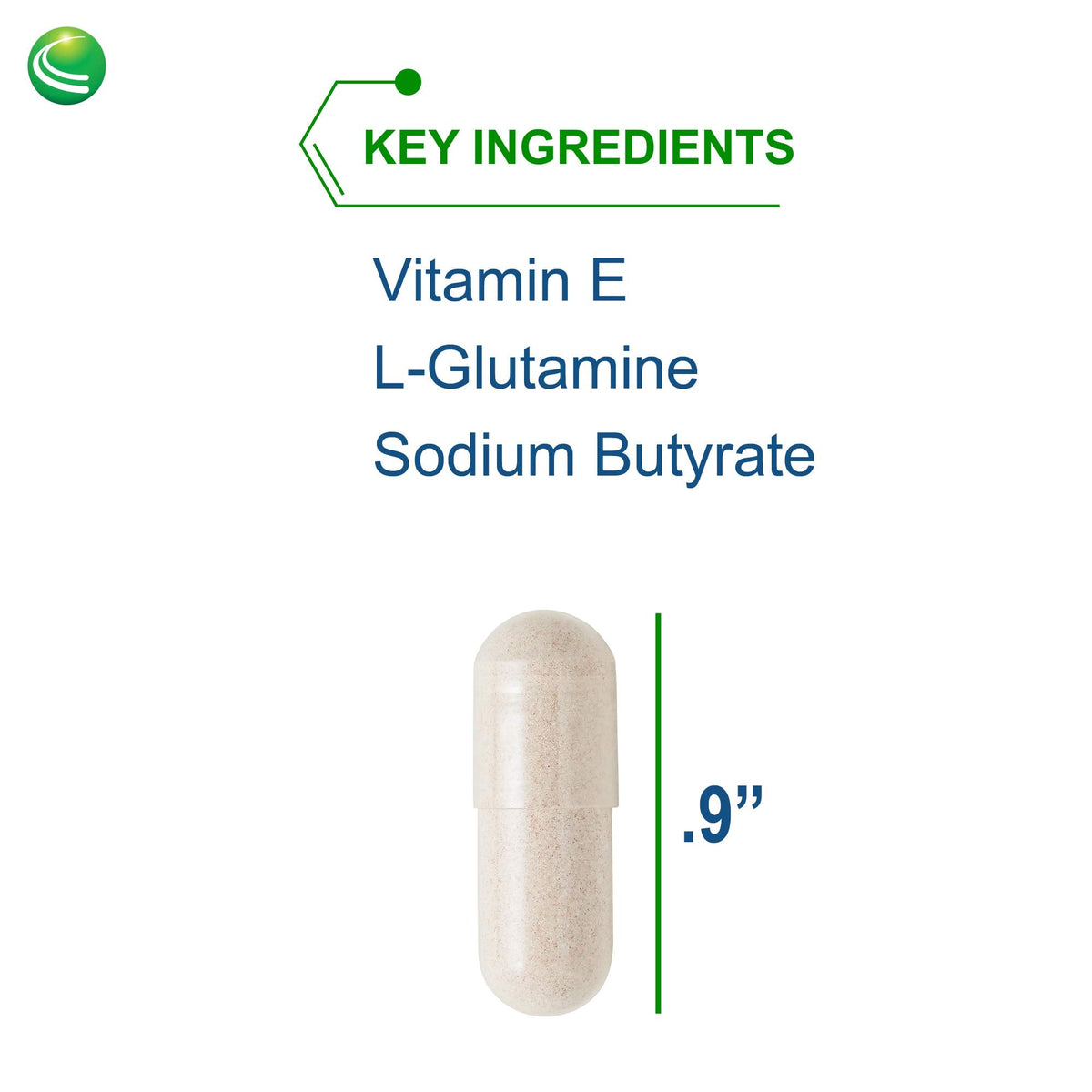 Nutra Biogenesis Intestinal Repair Capsules - Gut Health Supplement with Sodium Butyrate | 120 Capsules