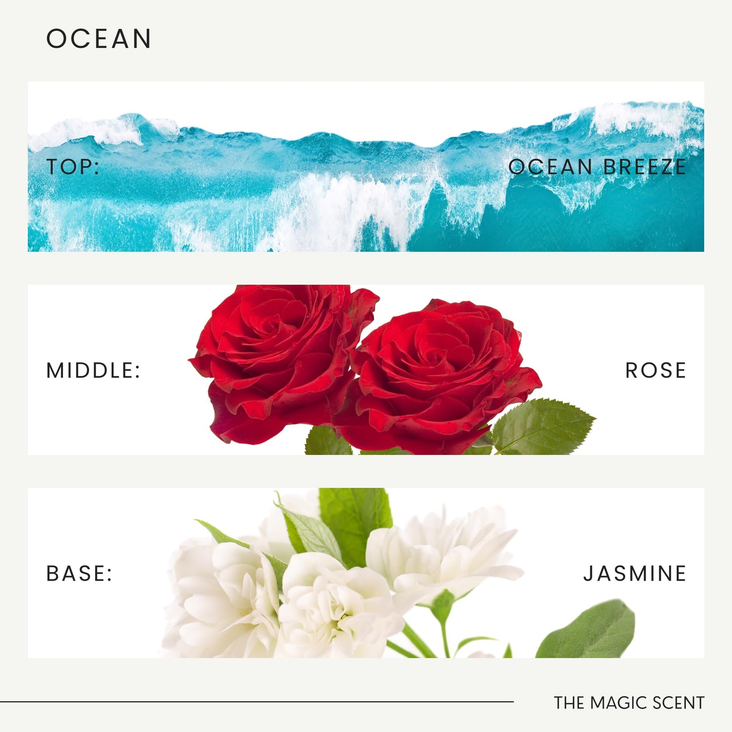 The Magic Scent Ocean Diffuser Oil – Bali-Inspired, 0.34 fl oz (10 ml) for Diffusers