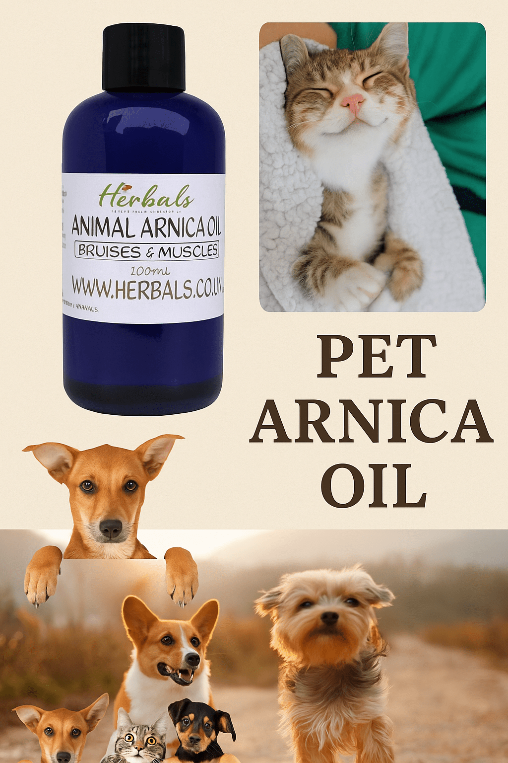 Oil Of Arnica Oil For Dogs & Cats For Bruises Strained Joints Muscles Ligaments