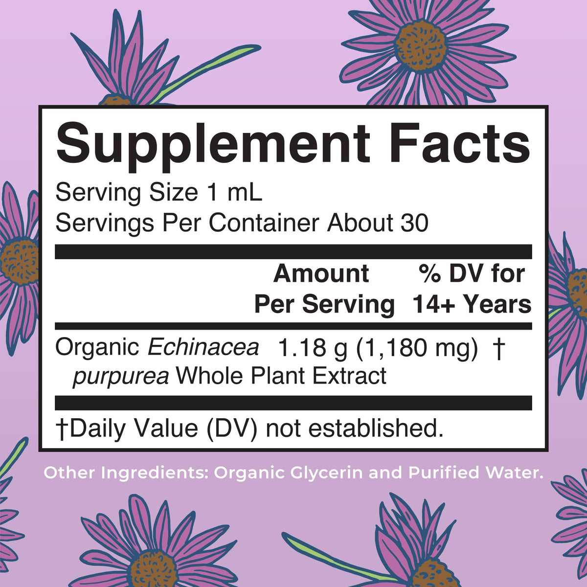 MaryRuth Organics Echinacea Purpurea Liquid | Immune Support Drops | USDA Organic | 1 Fl Oz