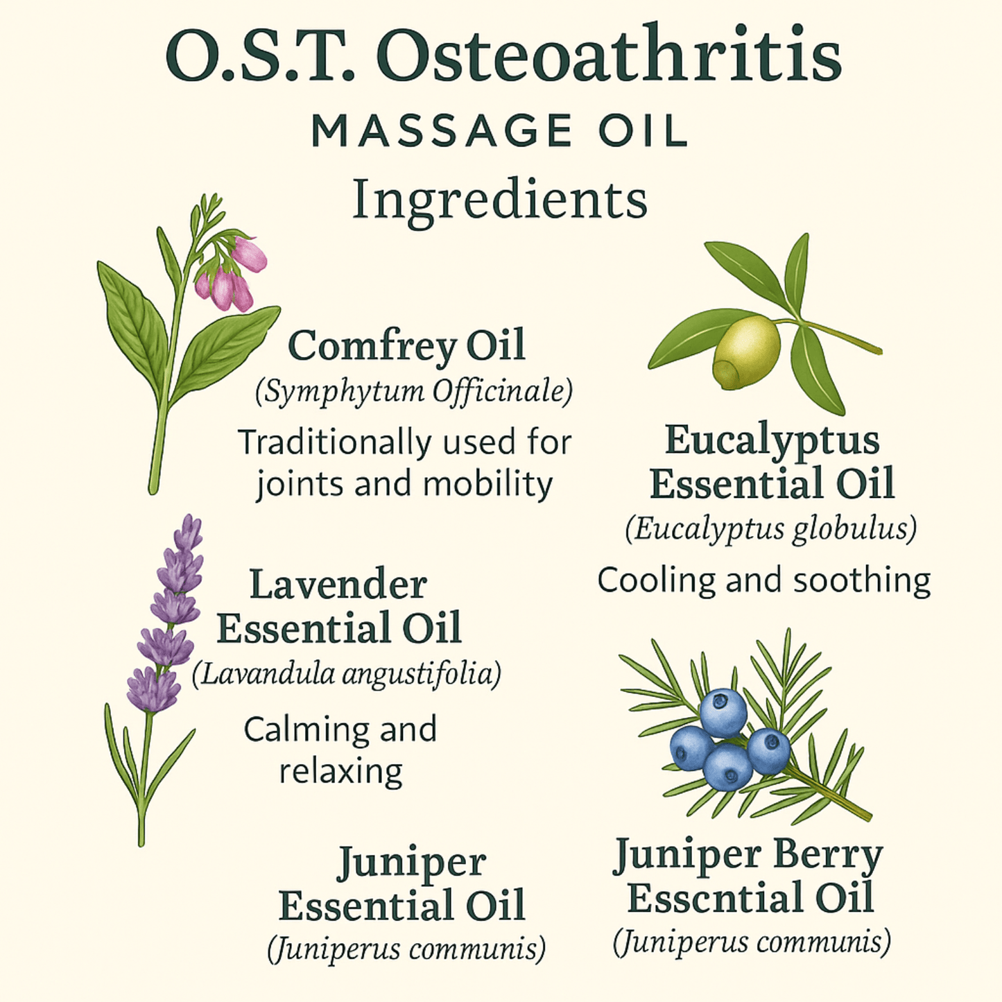 Osteoarthritis Knee Joint Pain Relief Oil – Natural O.S.T. Massage Blend
