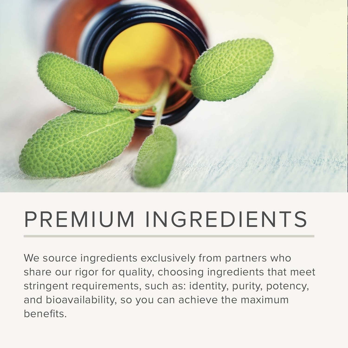 Osteoprime Forte Calcium for Bone Health | Integrative Therapeutics | 120 Capsules