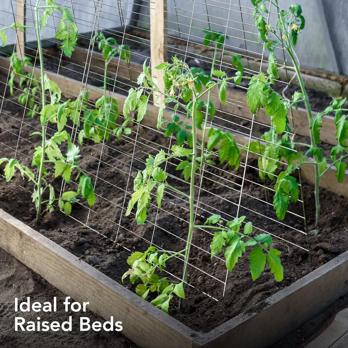 Outdoor Garden Trellis for Climbing Plants Vegetables with Support Clips
