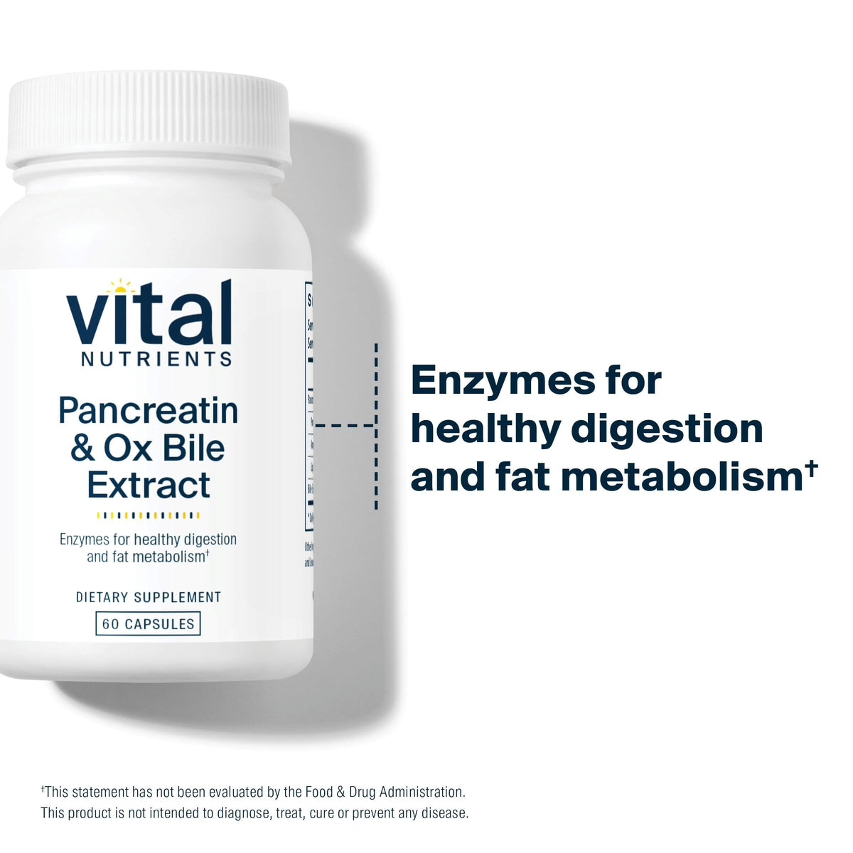 Vital Nutrients Pancreatin & Ox Bile Extract 500mg | Digestive Enzymes 60 Capsules