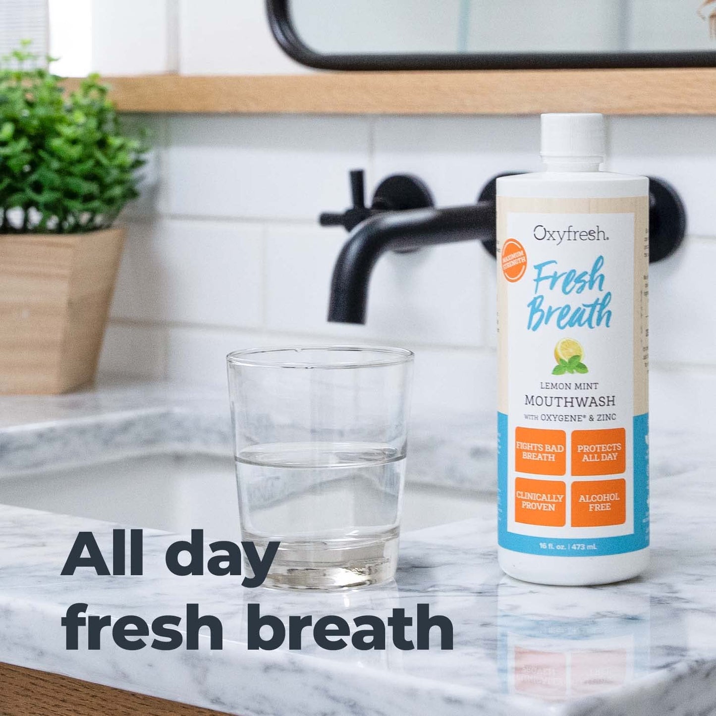 Oxyfresh Lemon Mint Fresh Breath Mouthwash – SLS & Fluoride Free, Alcohol Free – 16 Fl Oz (Pack of 3)