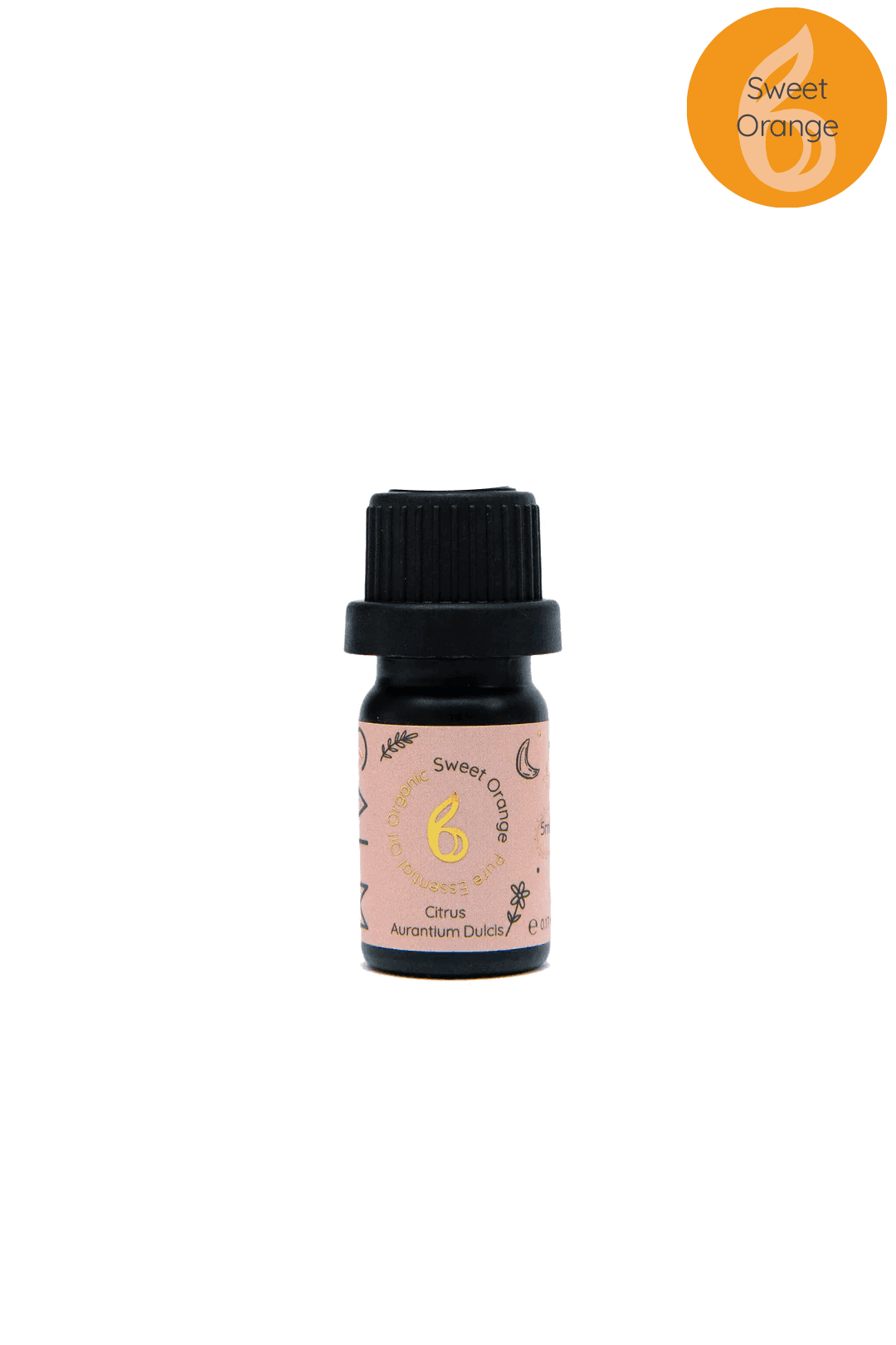 Breathe Calm Essential Oil Set - Stress Relief
