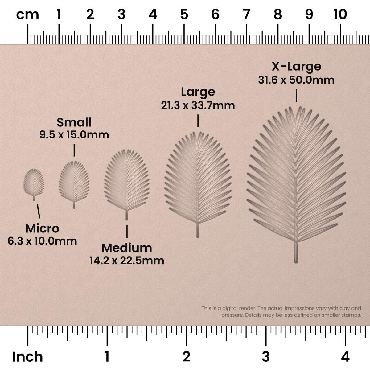 Palm Leaf Stamps - Photo Textured