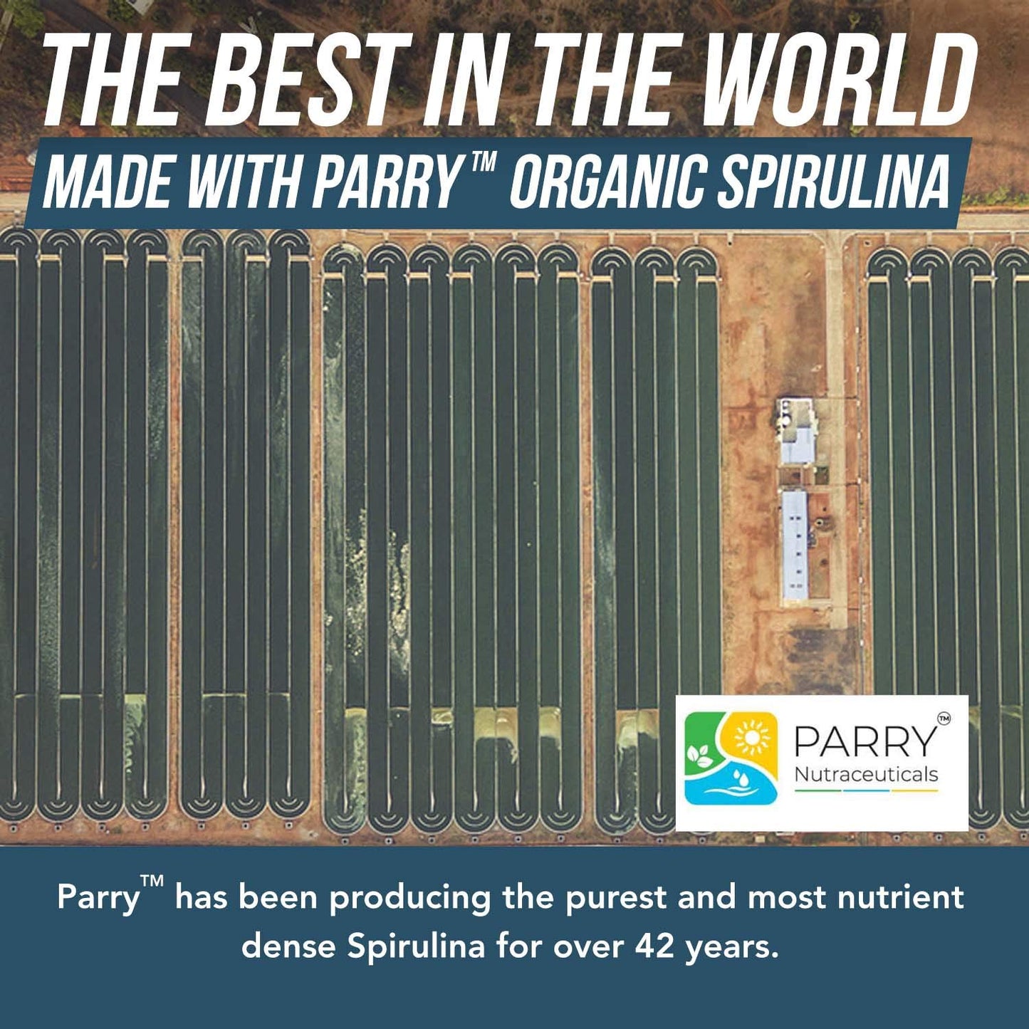 Organic Spirulina Powder – Parry Organic Spirulina | 8 oz, 75 Servings – Vegan, Non-Irradiated