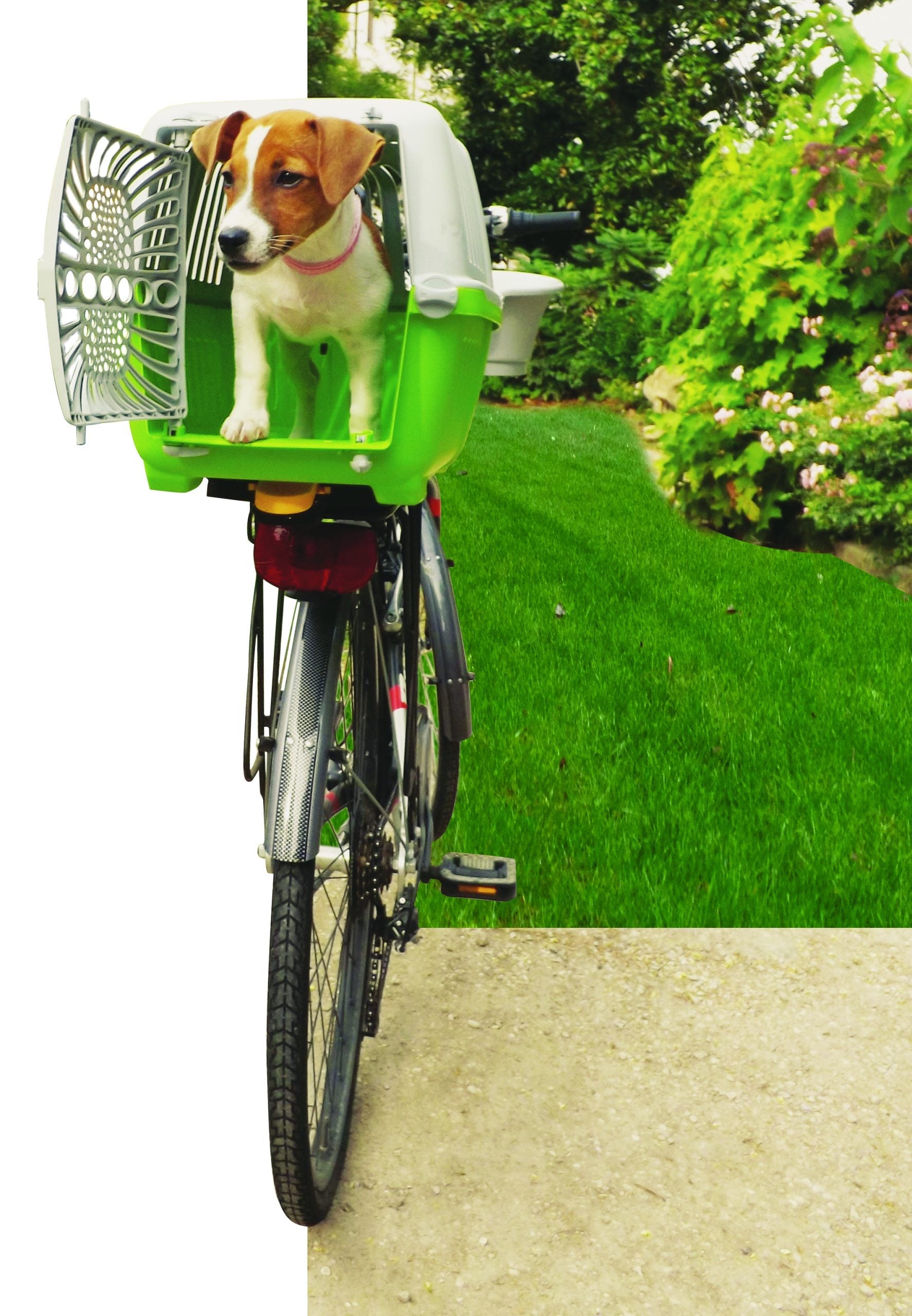 Bellelli Peggy - Pet Box