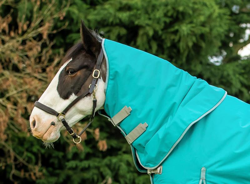50g Peppermint Turnout Rug Neck Cover