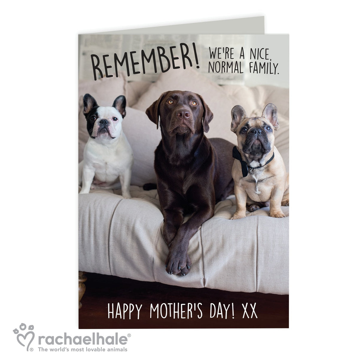 Personalised Rachael Hale 'Nice, Normal Family' Card