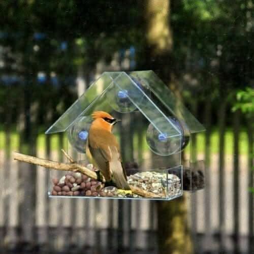 Perspex Window Bird Feeder Clear Suction Cup Feeding Tray 44.5cm
