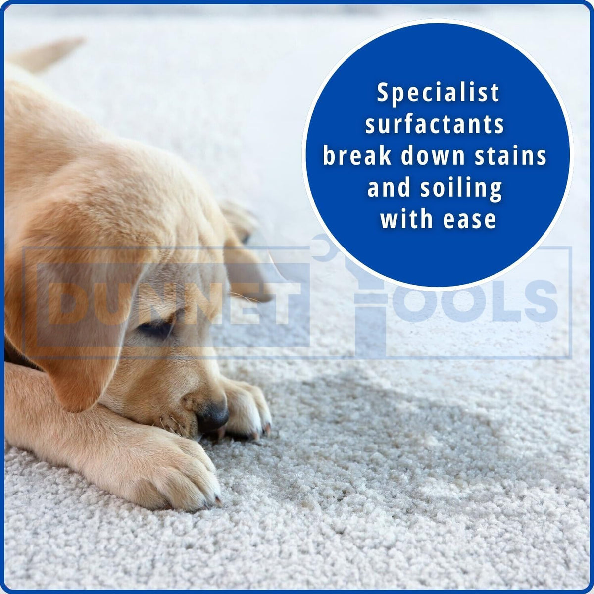 5L Pet Carpet Cleaner Shampoo & Odour Eliminator