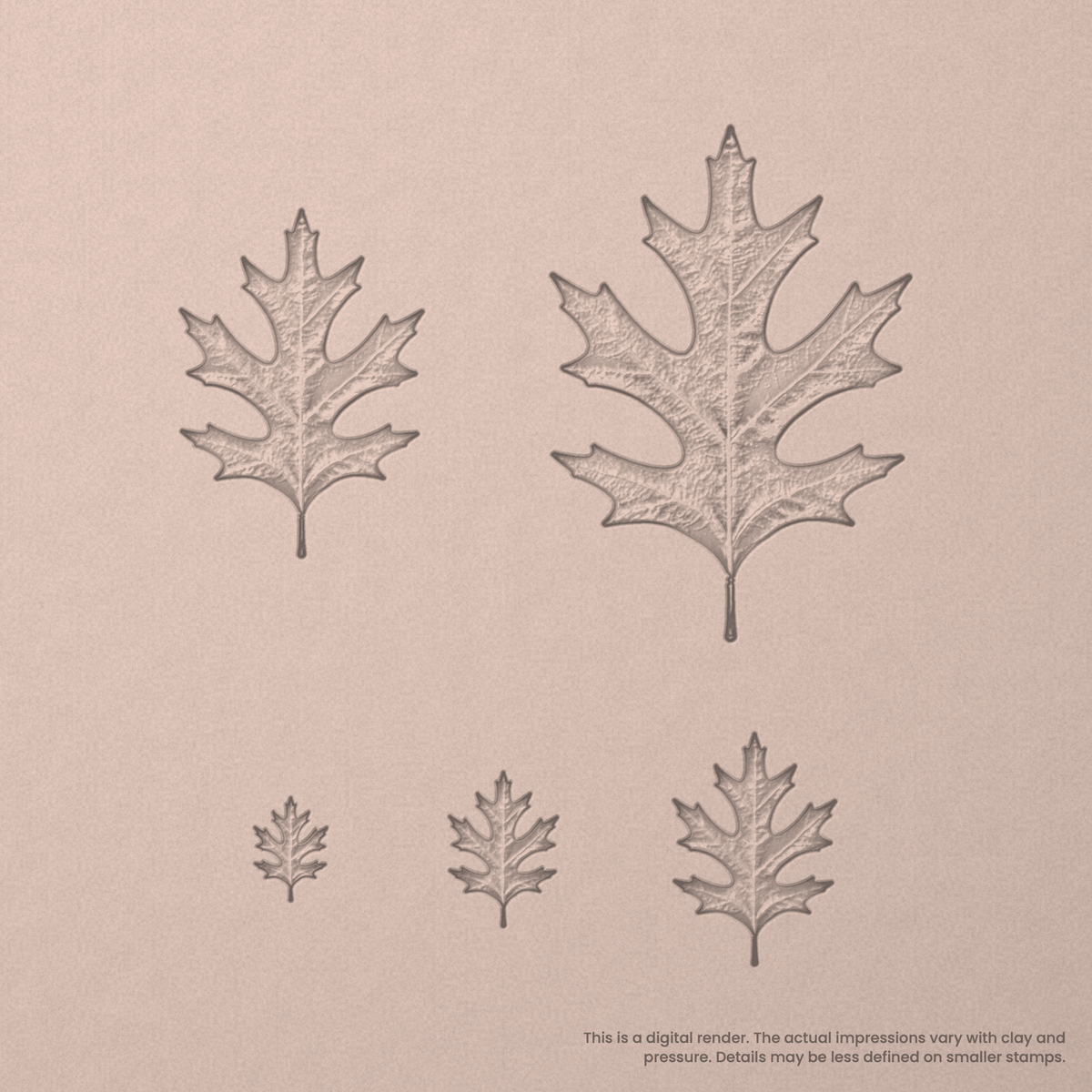 Pin Oak Leaf Stamps - Photo Textured