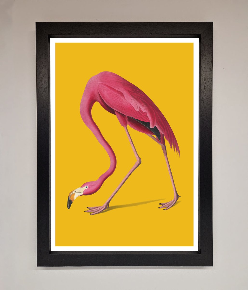 Pink Flamingo On Yellow Framed Print
