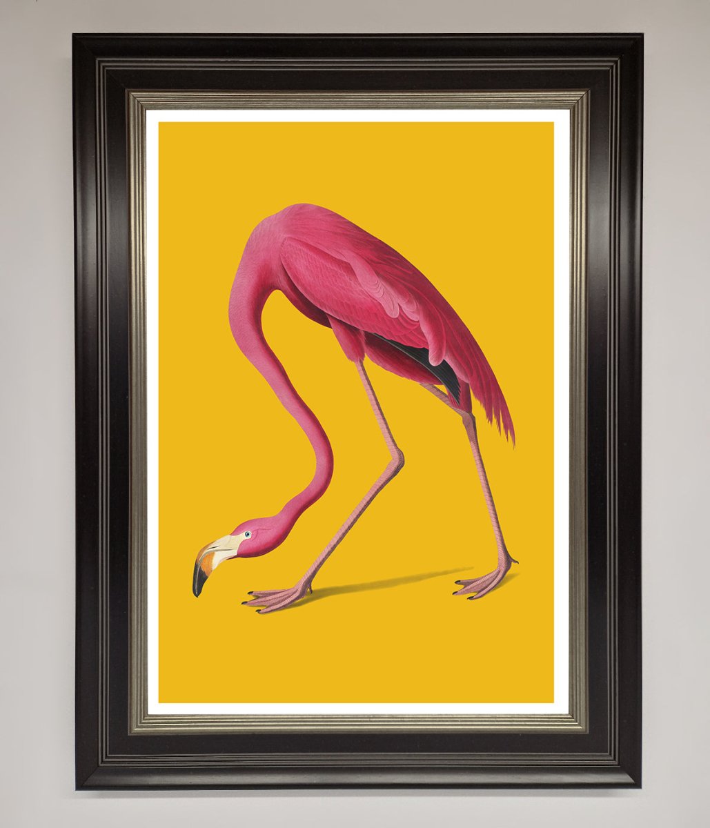 Pink Flamingo On Yellow Framed Print