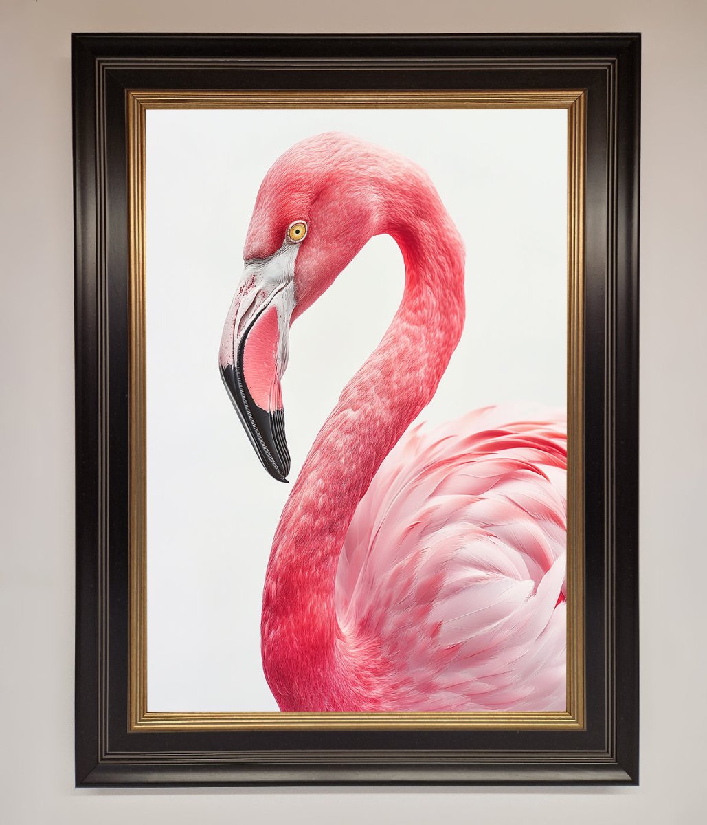 Pink Flamingo Stare Framed Print