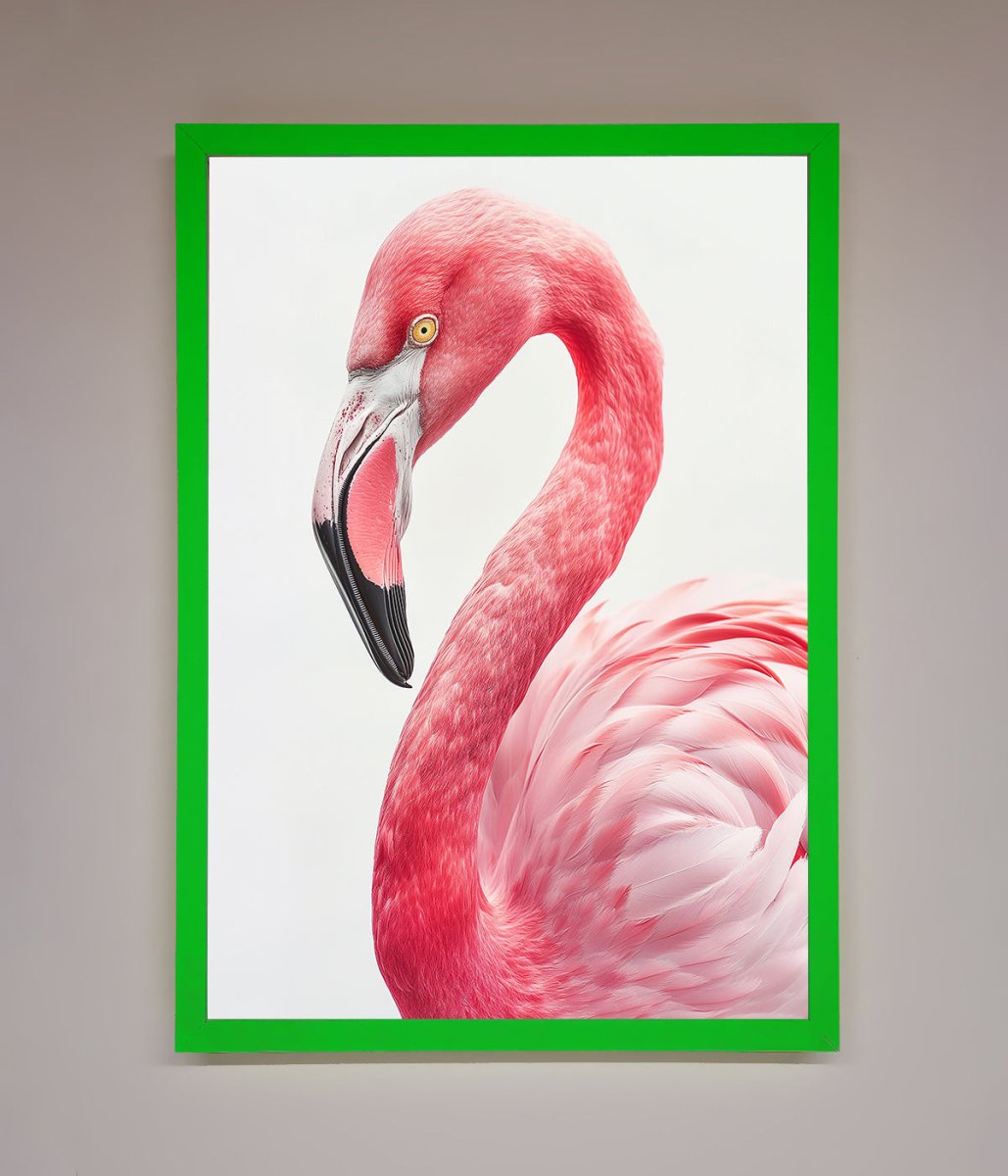 Pink Flamingo Stare Framed Print