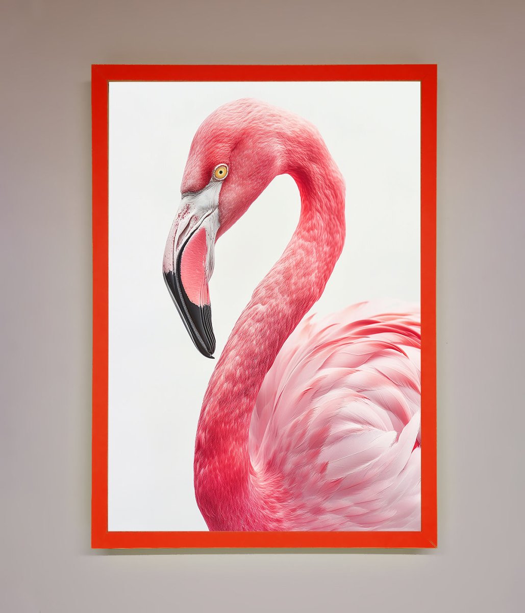 Pink Flamingo Stare Framed Print