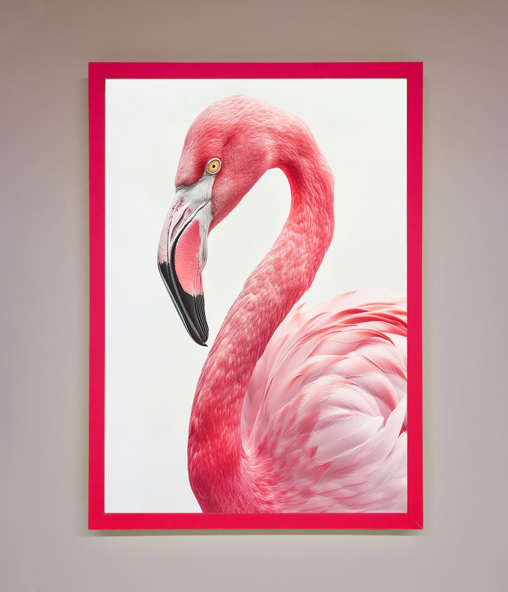 Pink Flamingo Stare Framed Print