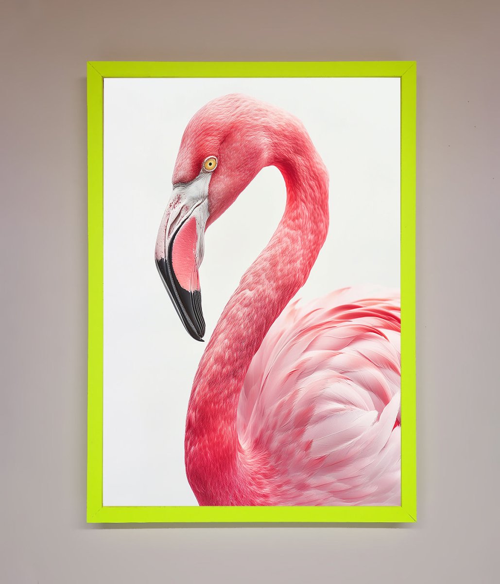 Pink Flamingo Stare Framed Print