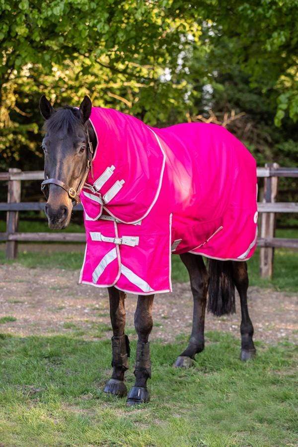 50g Detachable Neck Turnout Rug - Pink