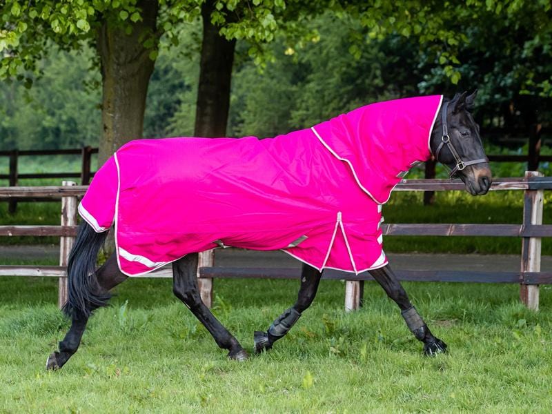 50g Detachable Neck Turnout Rug - Pink