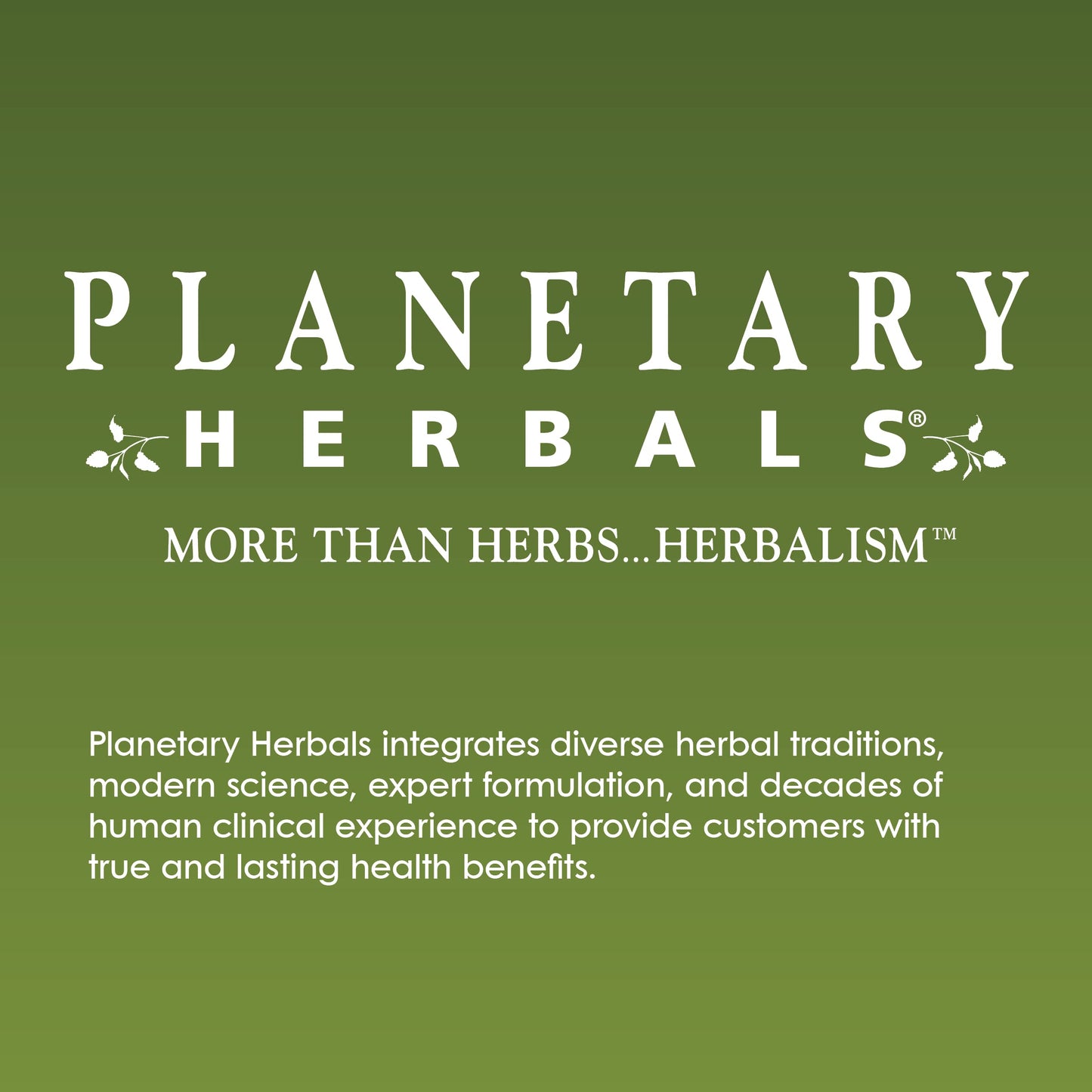Planetary Herbals Rhodiola Rosea Extract Full Spectrum 327mg – Adaptogen for Physical & Mental Stamina | 120 Tablets