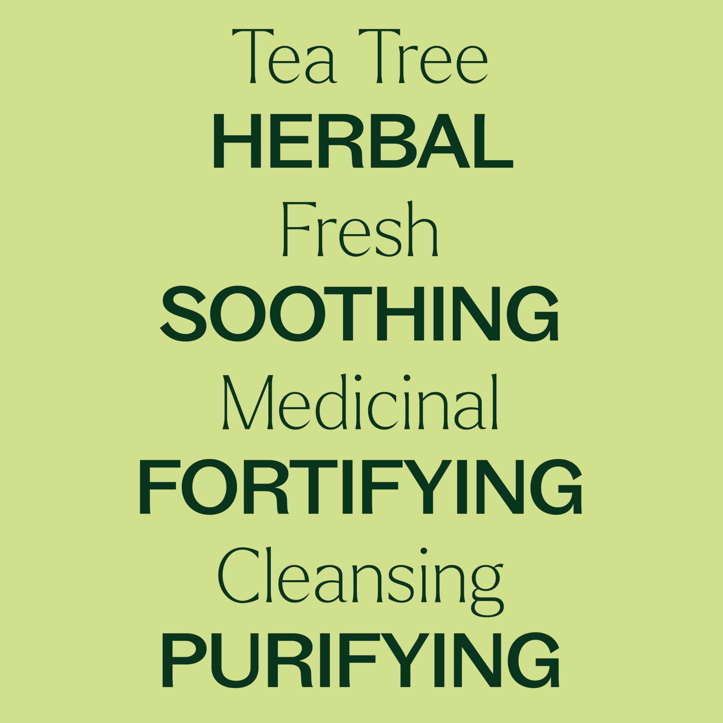 Tea Tree Essential Oil by Plant Therapy – 100% Pure, 100 mL (3.3 oz)