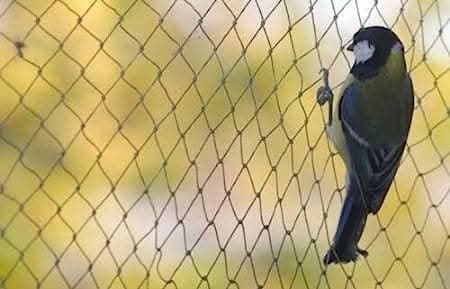 2m x 4m Fine Mesh Garden Pond Netting for Bird Protection