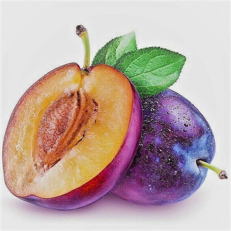 Plum Seed Kernel Oil Skin Rejuvenator For Wrinkles Blemished Damaged Skin