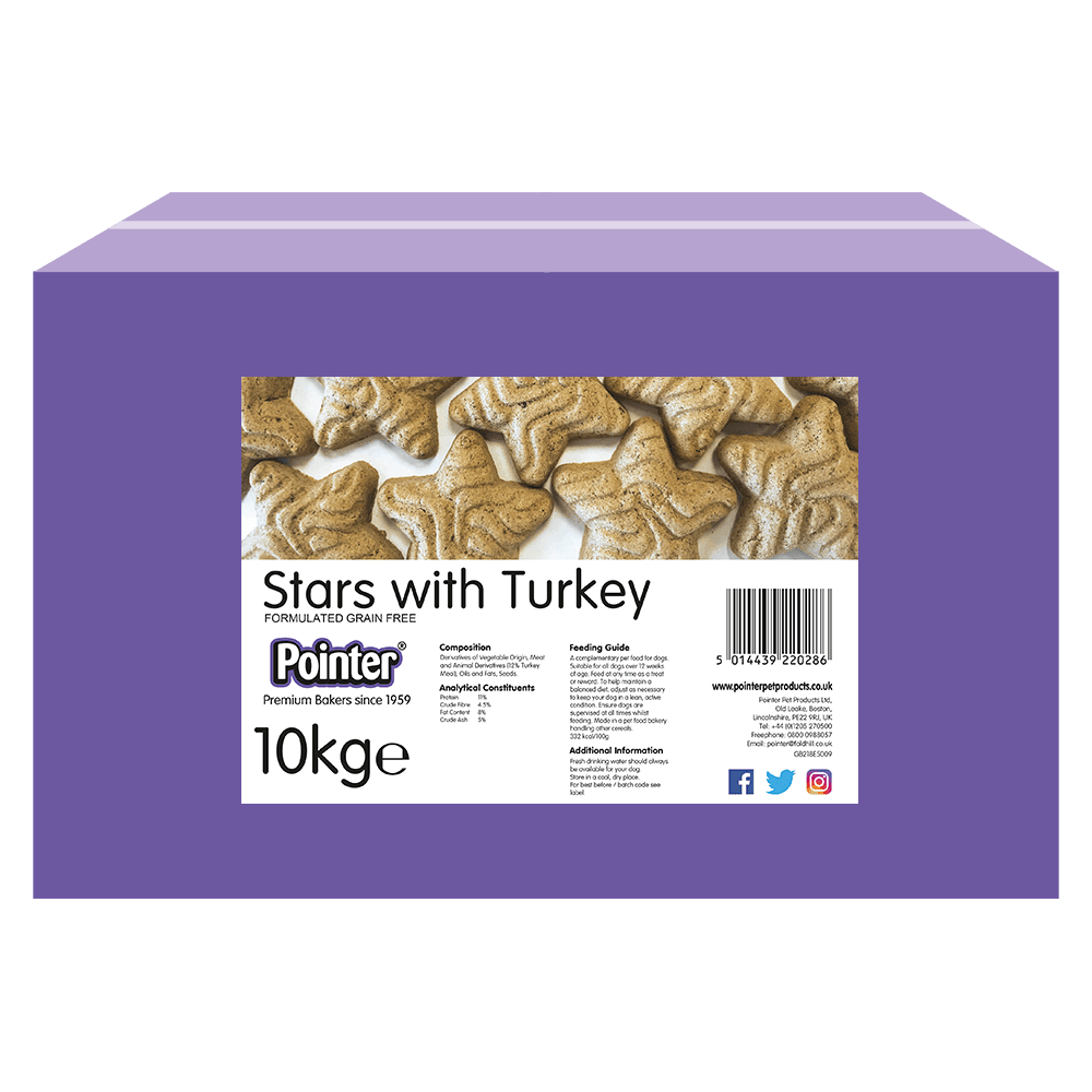 Pointer Stars with Turkey
